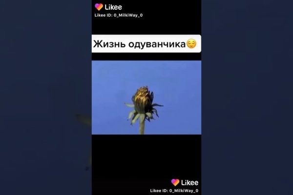 Кракен нарк