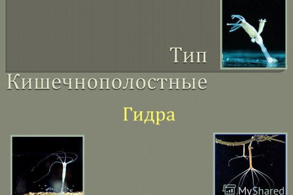 Ссылка кракен через тор