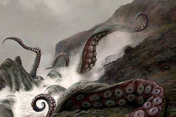 Kraken whitenet