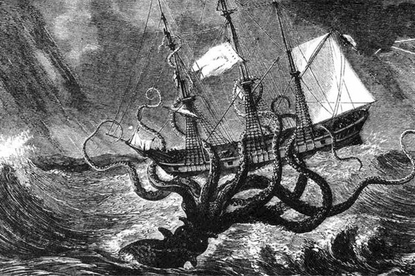 Kraken whitenet ссылка тор
