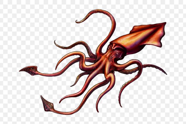 Kraken это современный маркетплейс