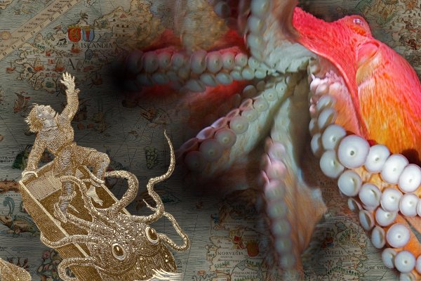 Kraken супернет gigageek ru