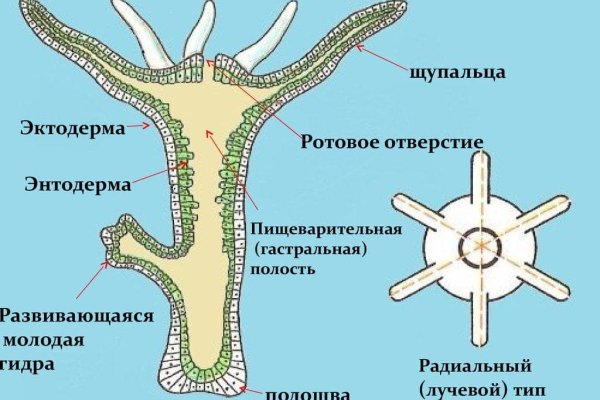 Кракен маркет плей