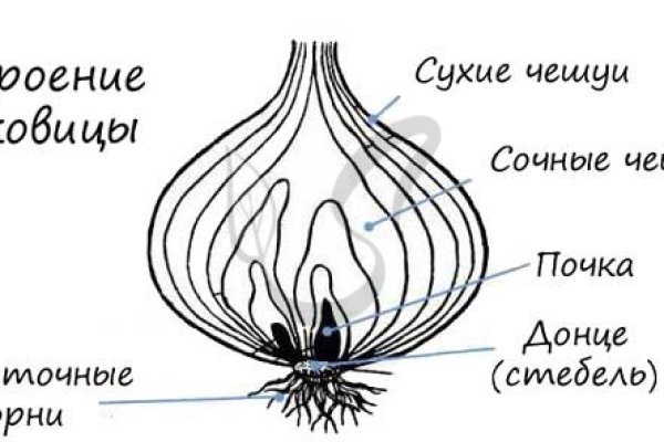 Кракен ссылка 2 веб