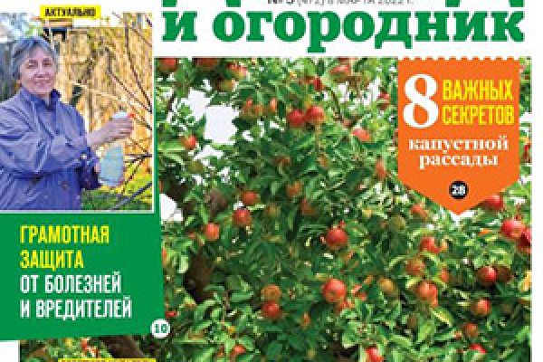 Кракен зеркало рабочее на сегодня krakenat2krnkrnk com
