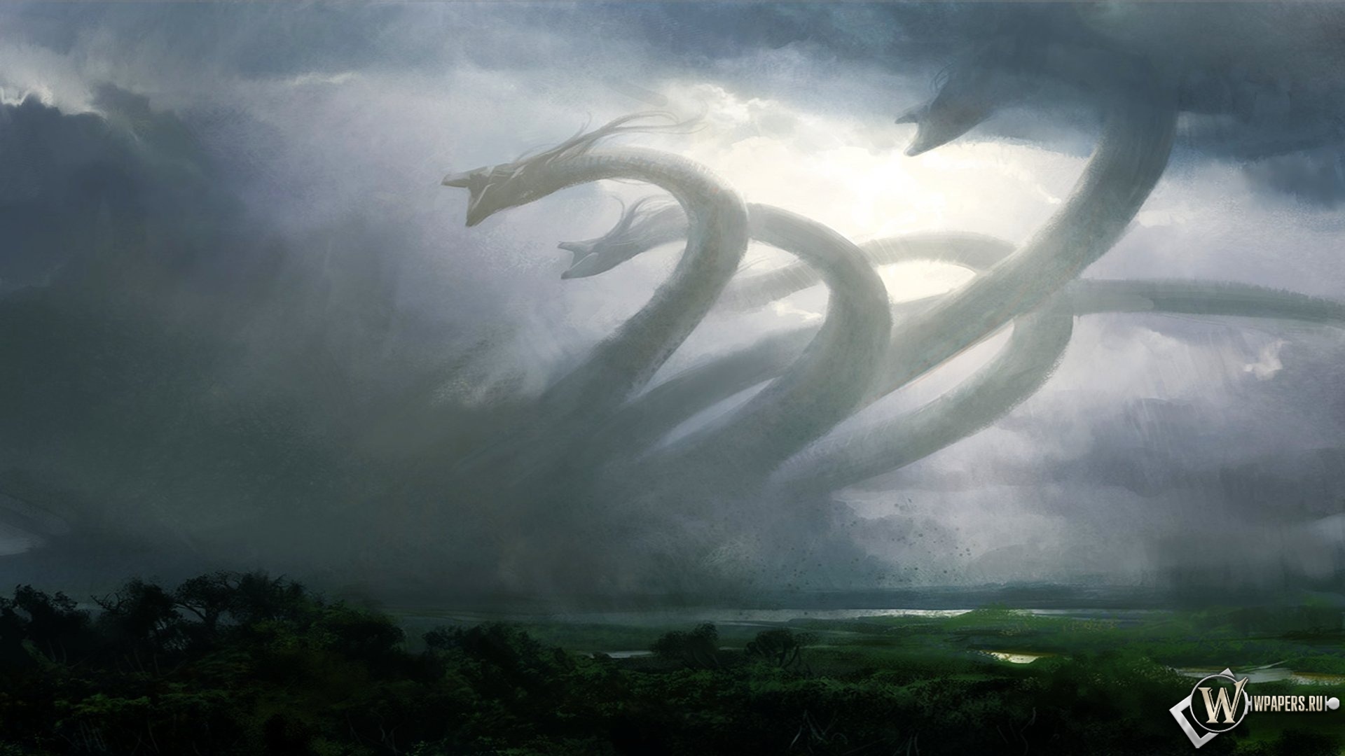 Настоящий сайт kraken