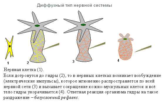 Кракен сайт зеркало рабочее на сегодня